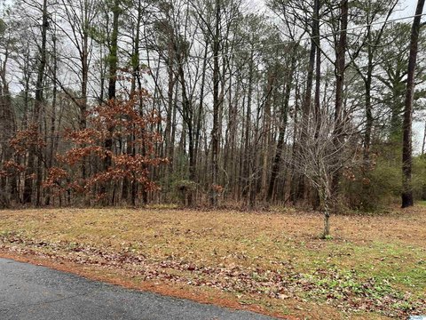 Residential Land in Centre, AL