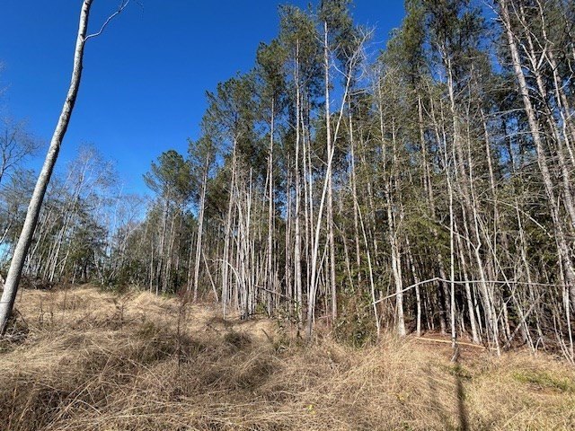 Picture 19