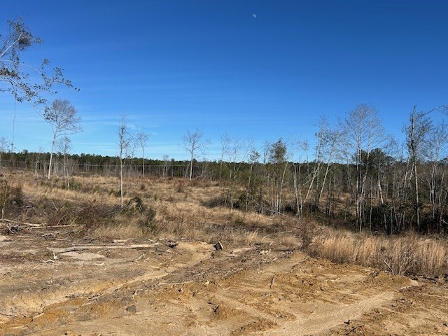 Picture 11