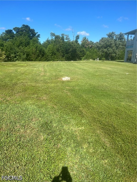 Picture 2