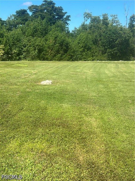 Picture 3
