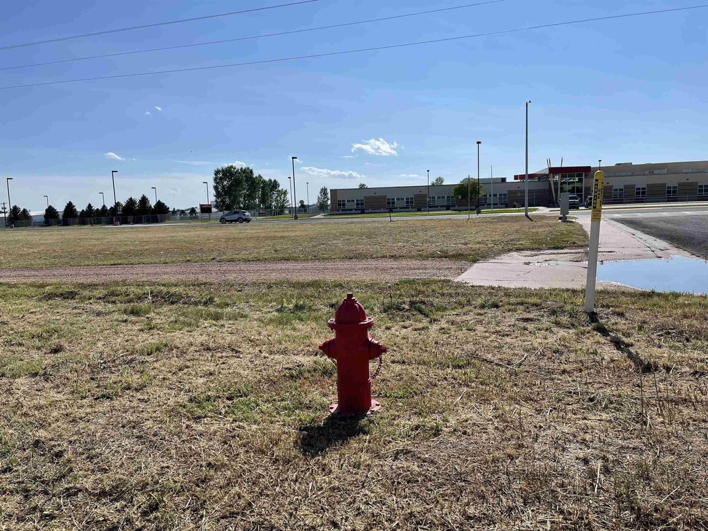 Picture 6