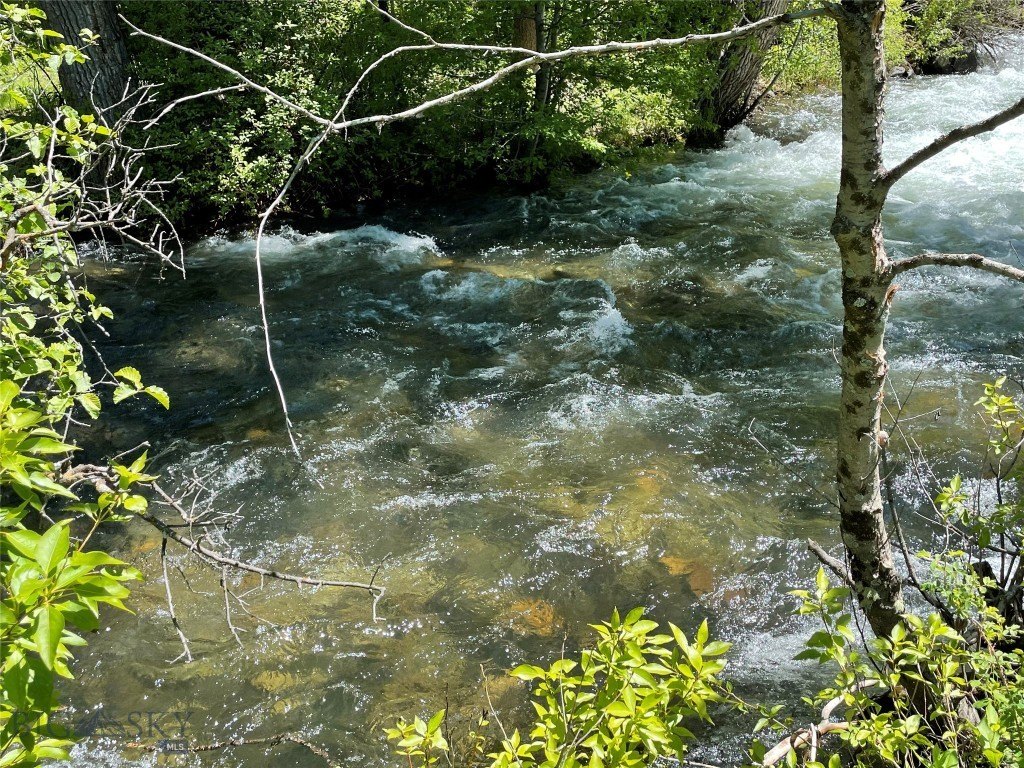 Picture 13