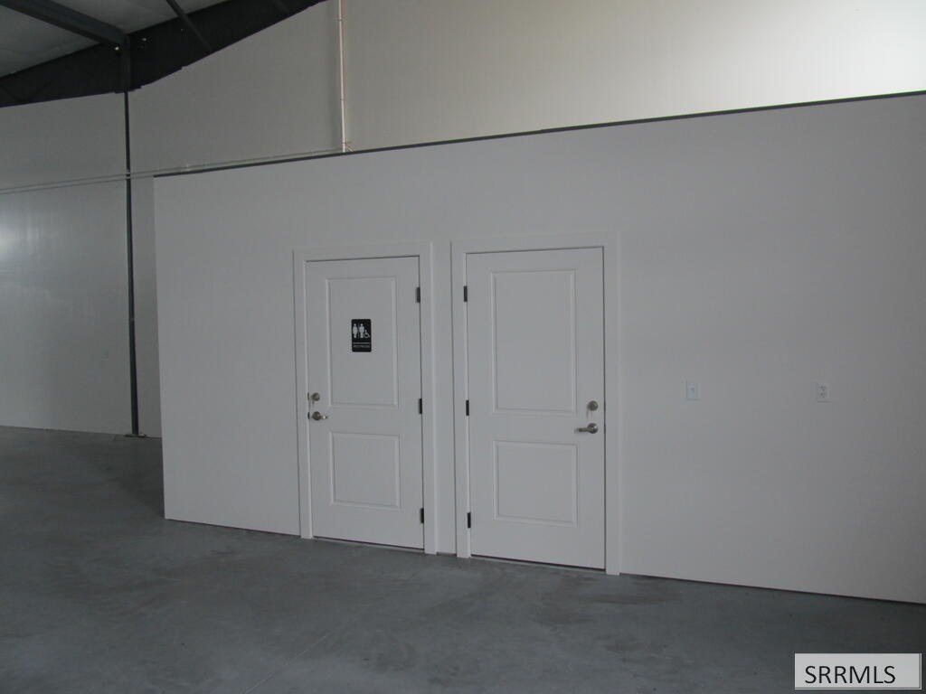 Picture 5