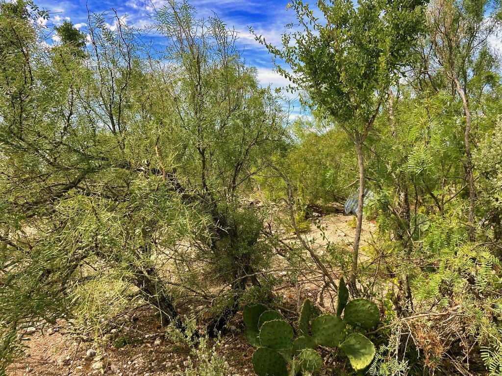 Picture 17
