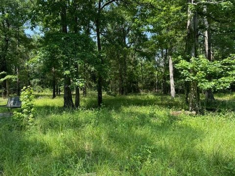 Jasper, TX Wooded Lot