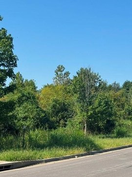 Land, Blue Springs, MO