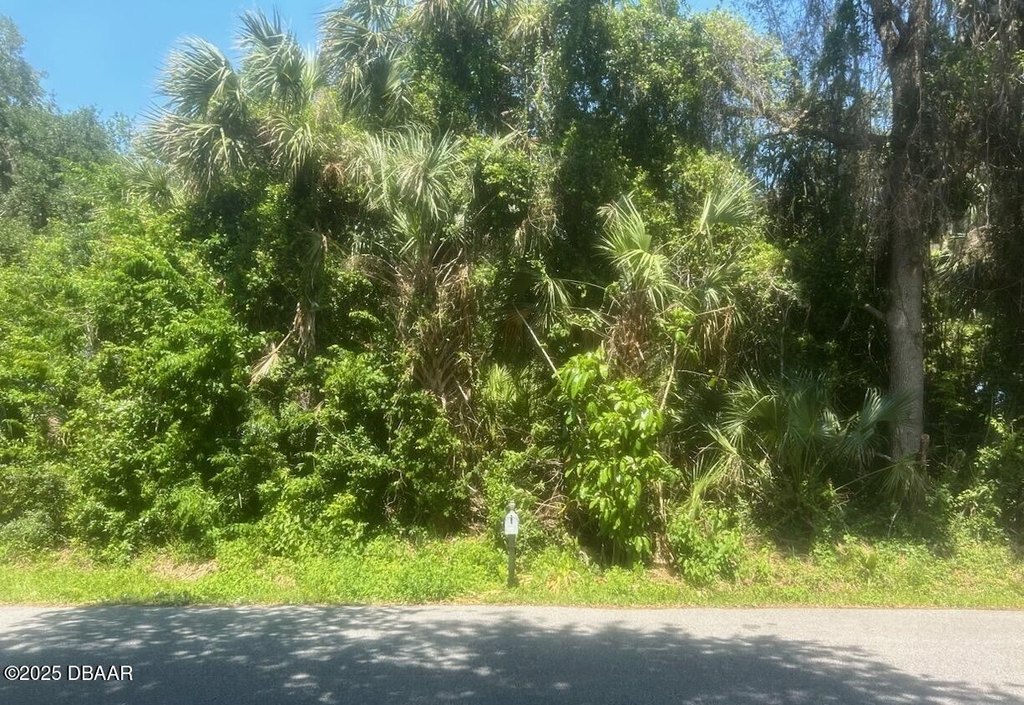 Picture 3