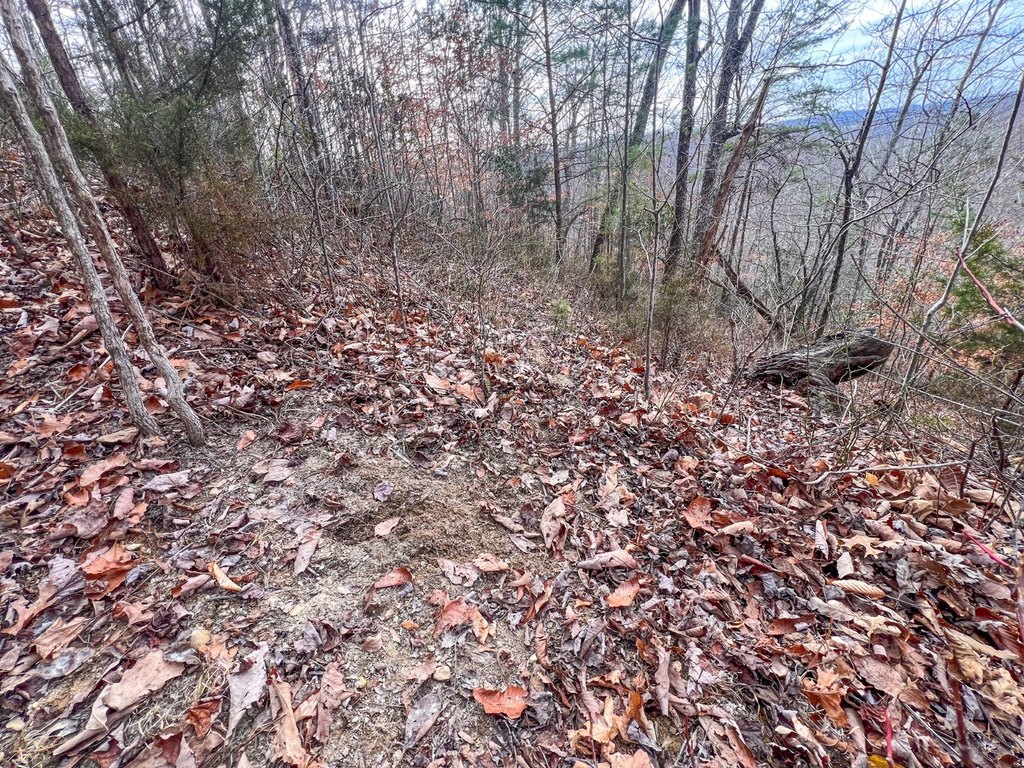 Picture 31
