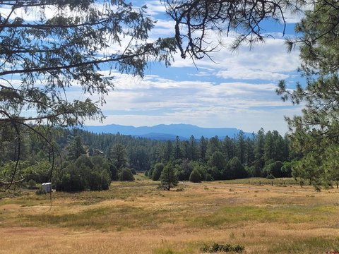 LAND - Pagosa Springs, CO