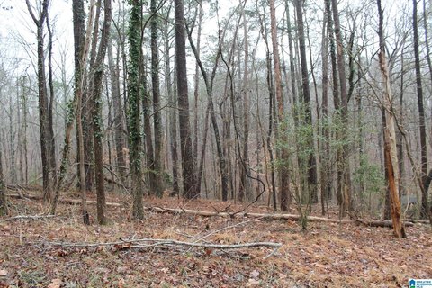 Residential Lot in Quiet Cul-de-sac