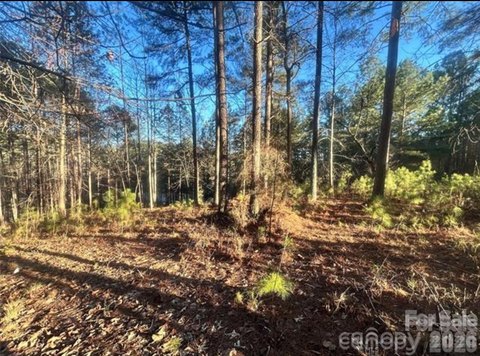 Land, Granite Falls, NC