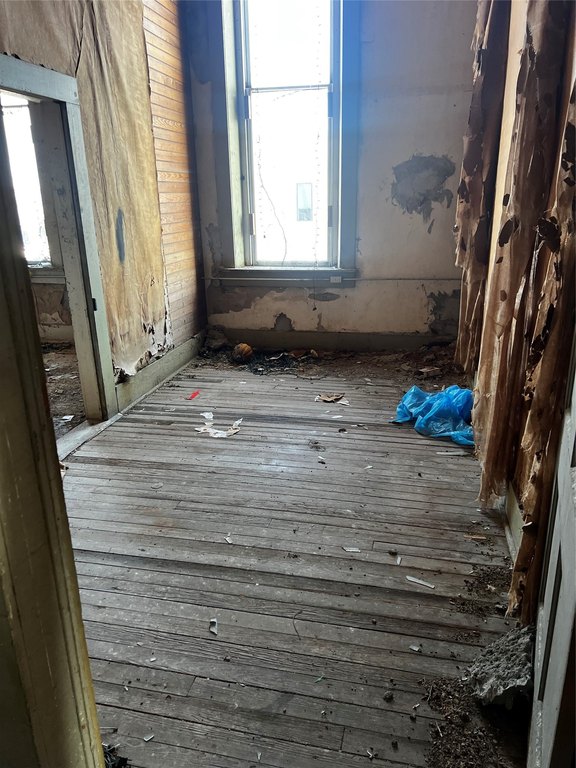 Picture 21