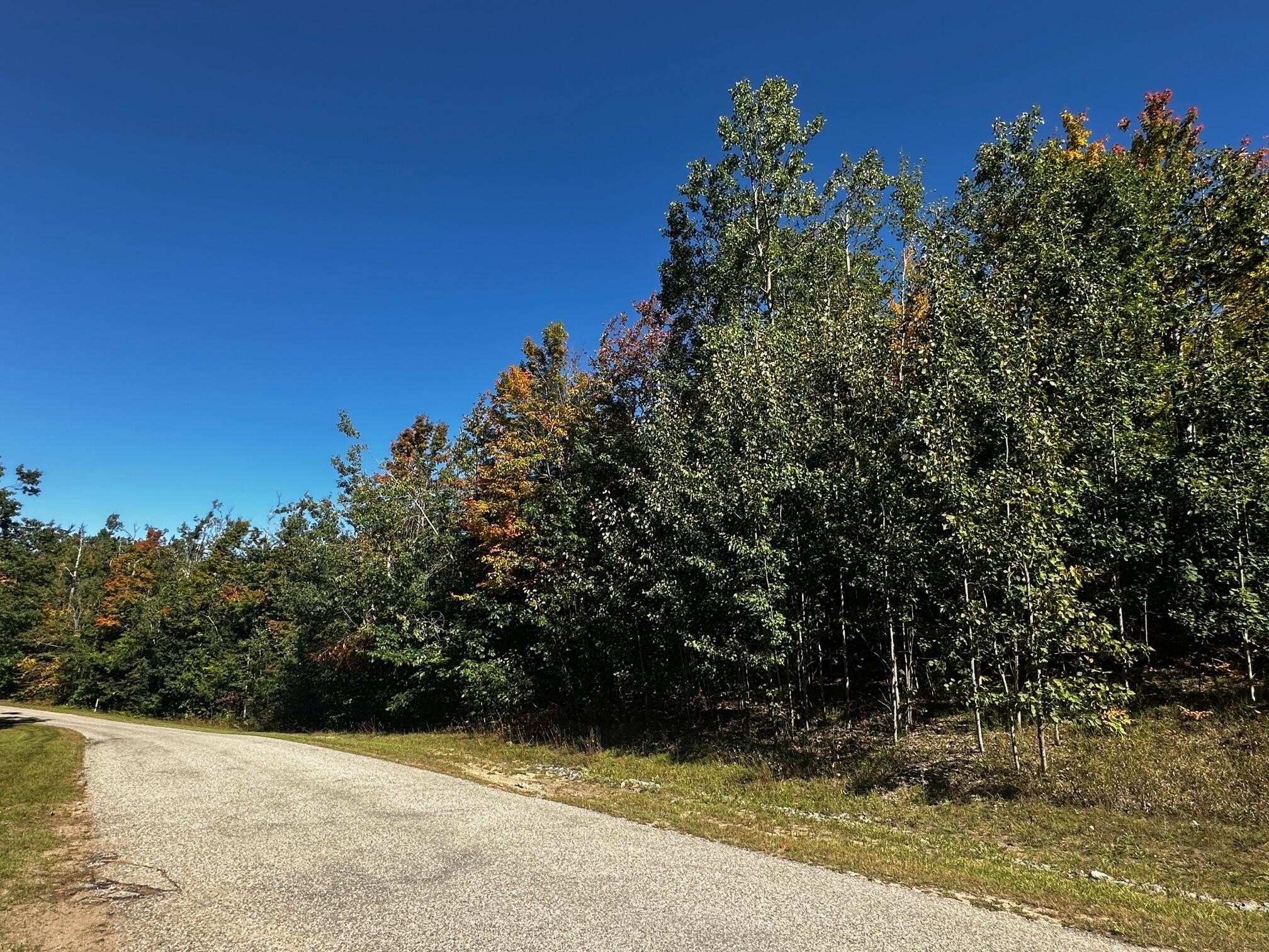 Wooded Lot Near O'Rourke Lake