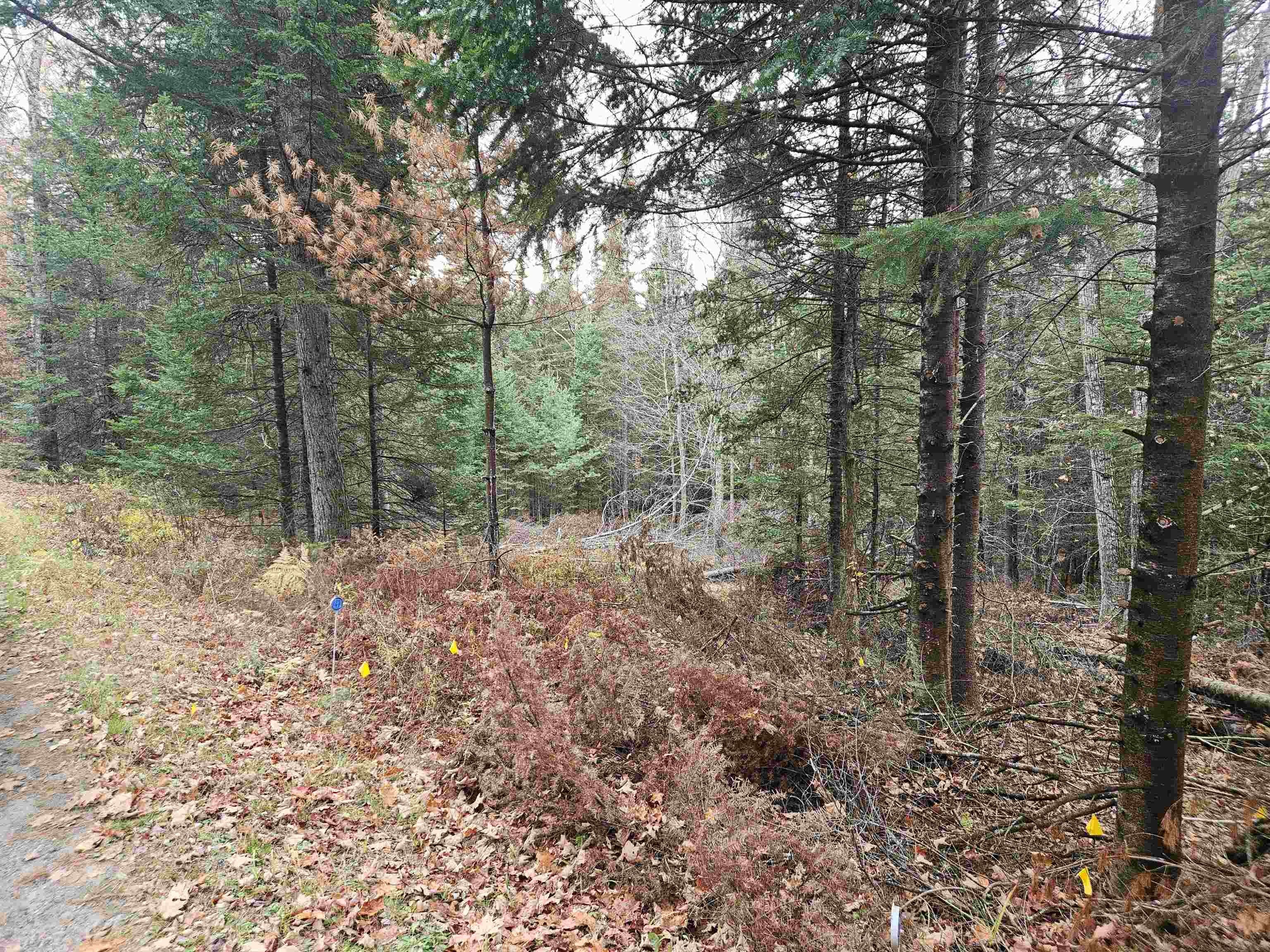 Lyman, NH Land Parcel