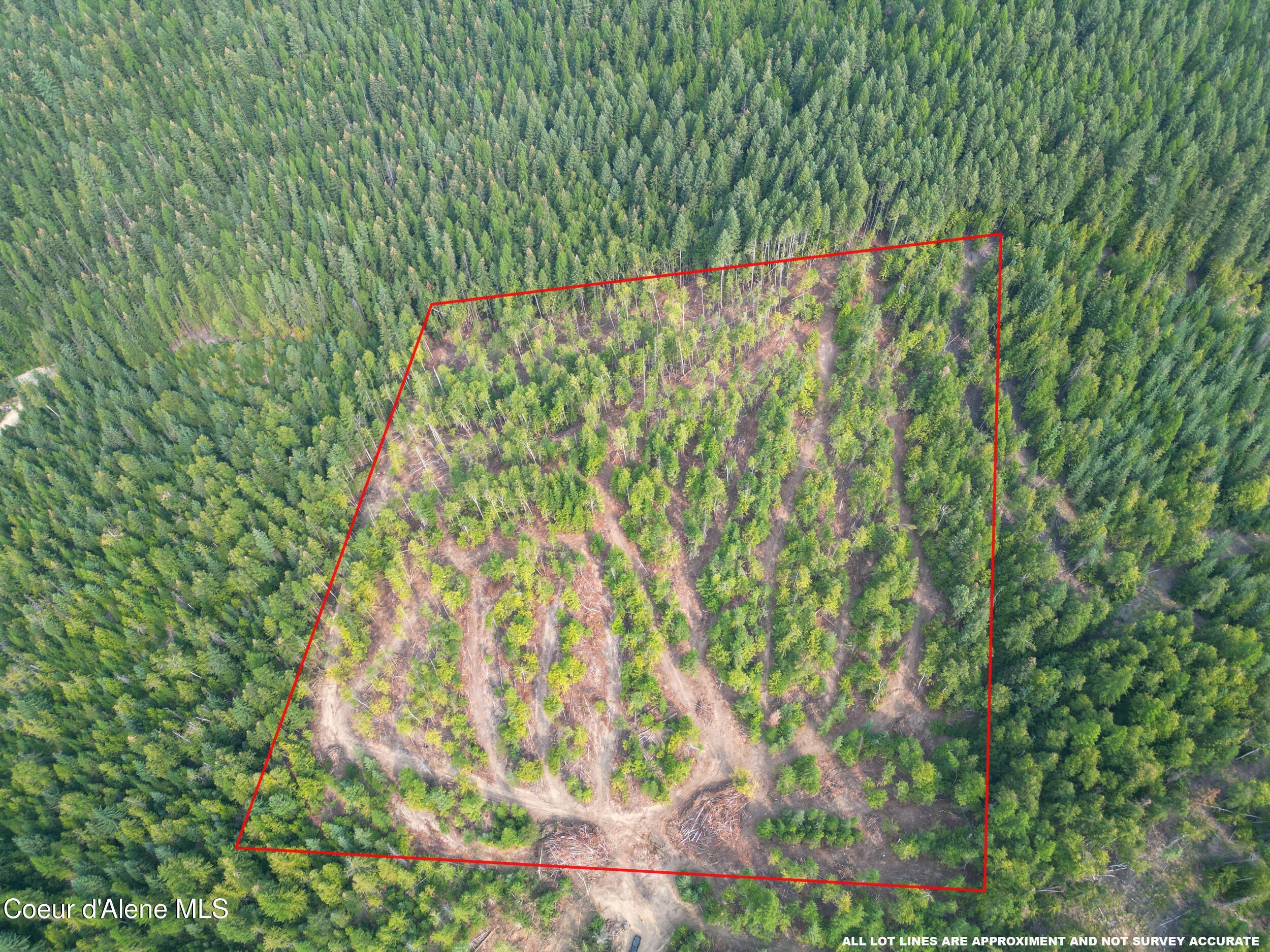 Mountainous Acres Backing National Forest