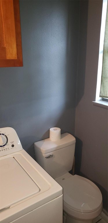 Picture 27