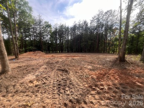 LAND - Nebo, NC