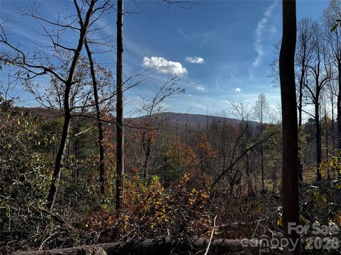 10 Acre Mountain Retreat Land