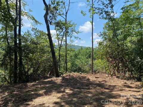 Platted Mountain-View Home Lots