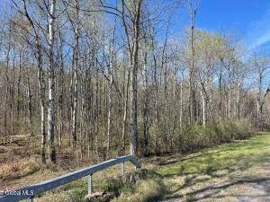 19.6 Acres Vacant Land Available