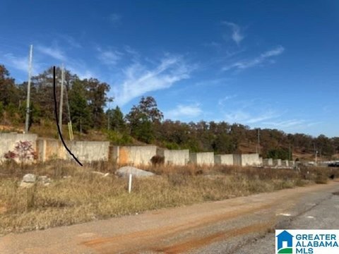 Residential Lots in Pell City