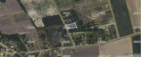 Residential Land in Bishopville, SC