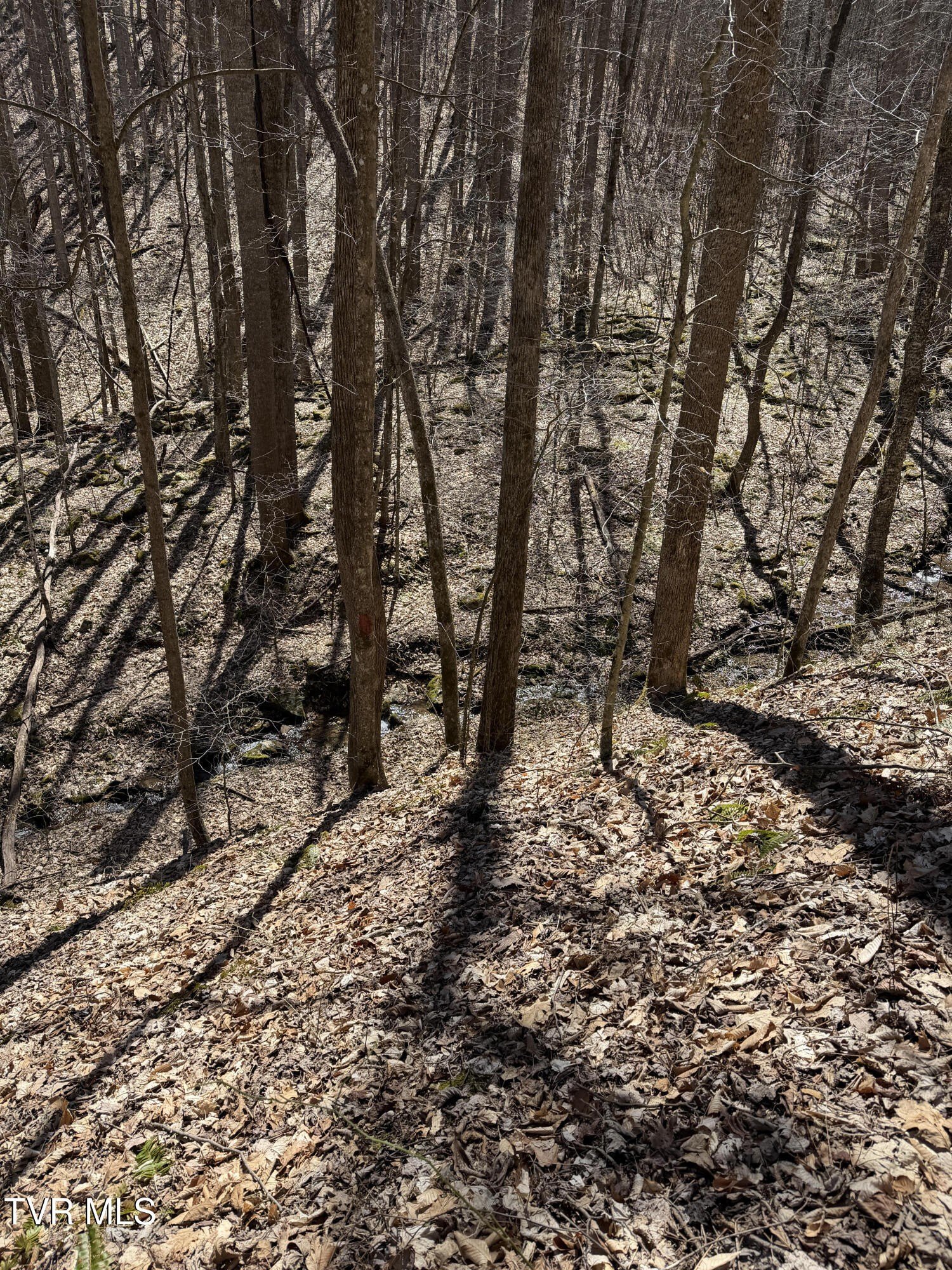 Coeburn, VA Land Parcel