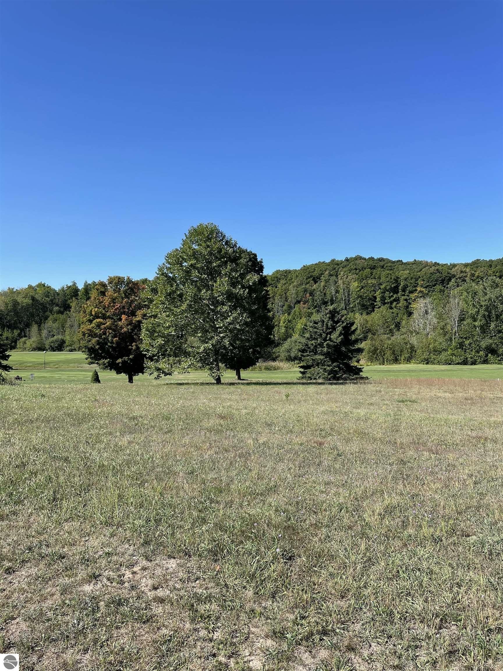 Golf Course Lot in Kewadin