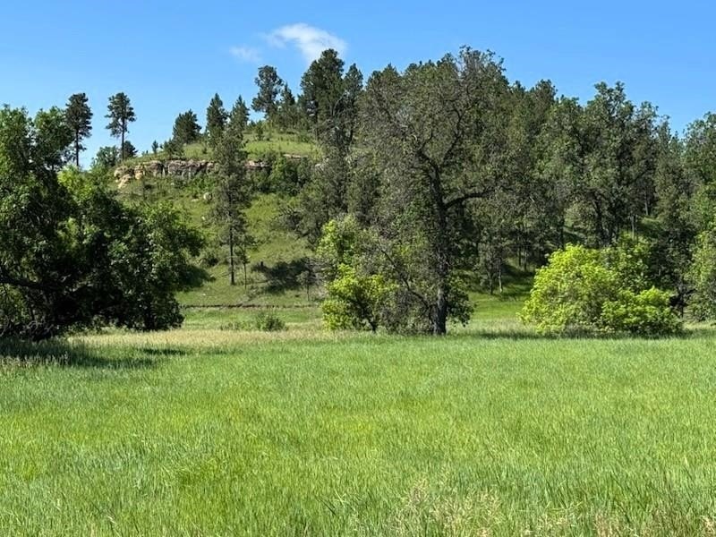 Picture 9