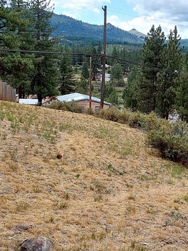 Portola Land with Elevated Views