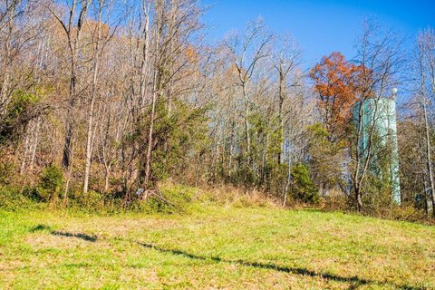 Residential Lot in Shipman, VA