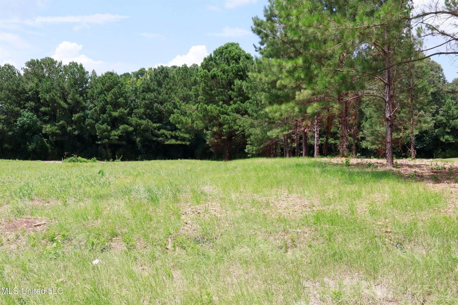 Prime Commercial Lot in Pearl