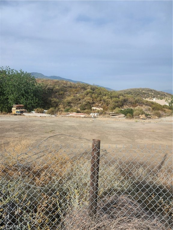 Picture 5