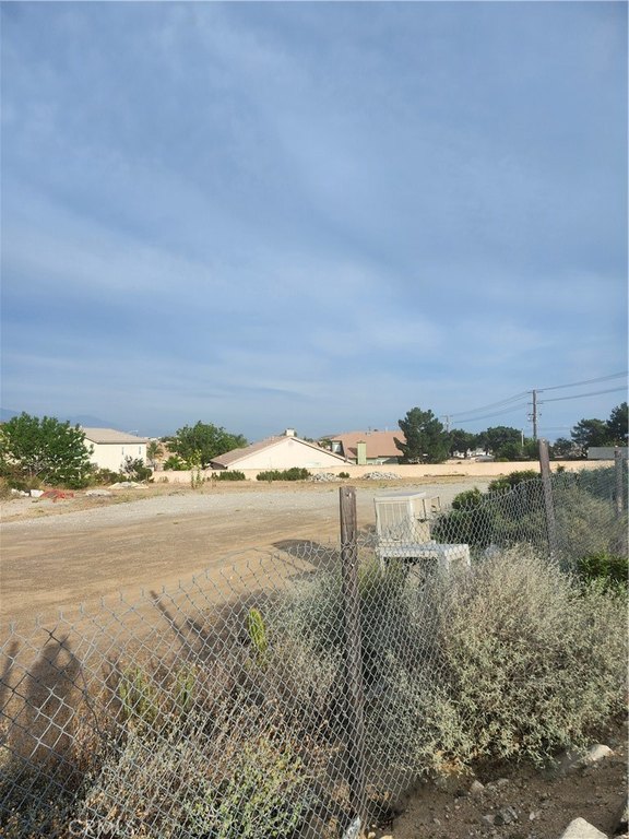 Picture 3