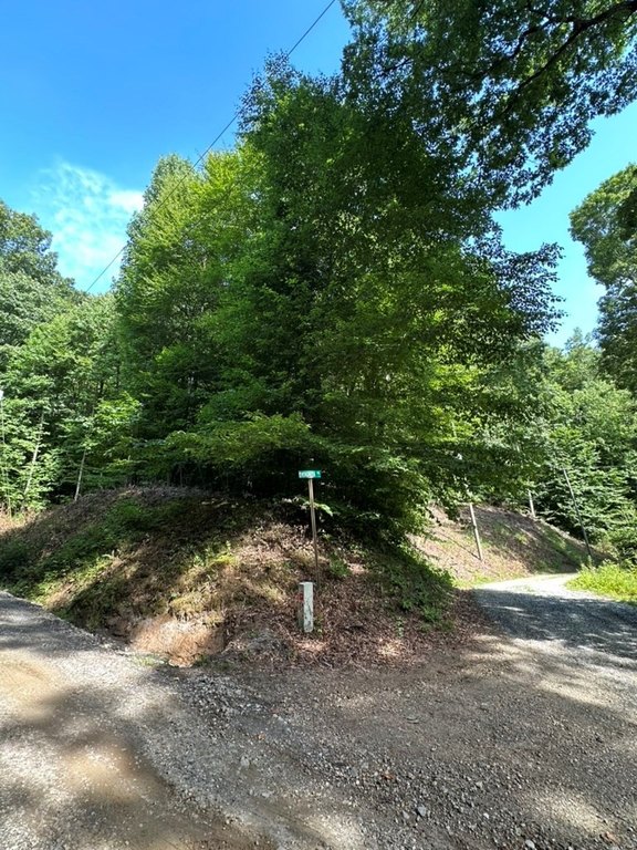 Picture 2