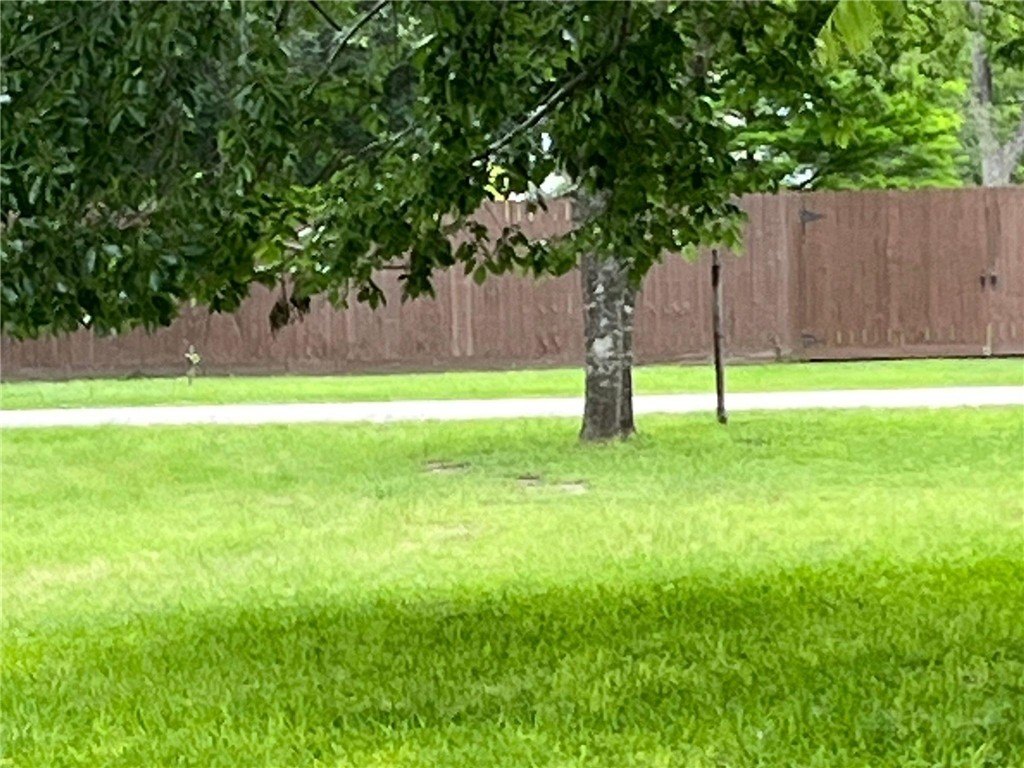 Picture 4
