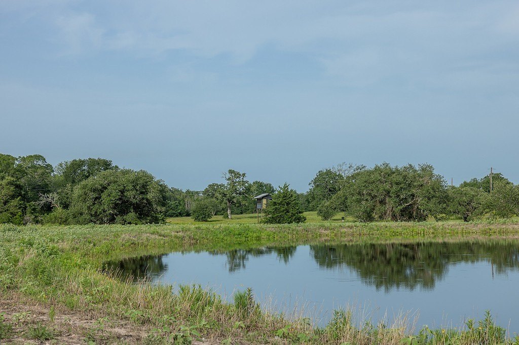 Picture 8