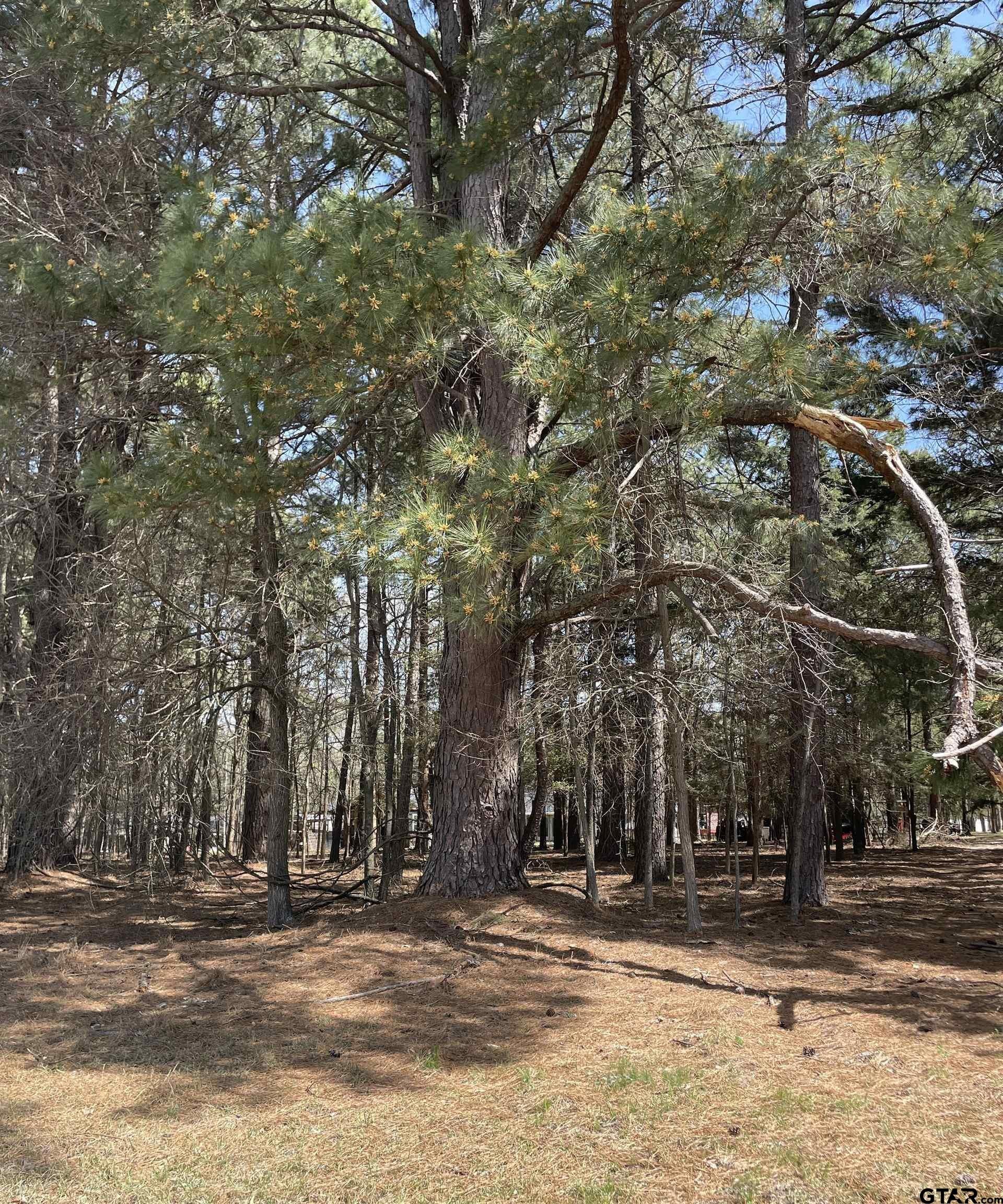 Residential Land Near Lake Bob