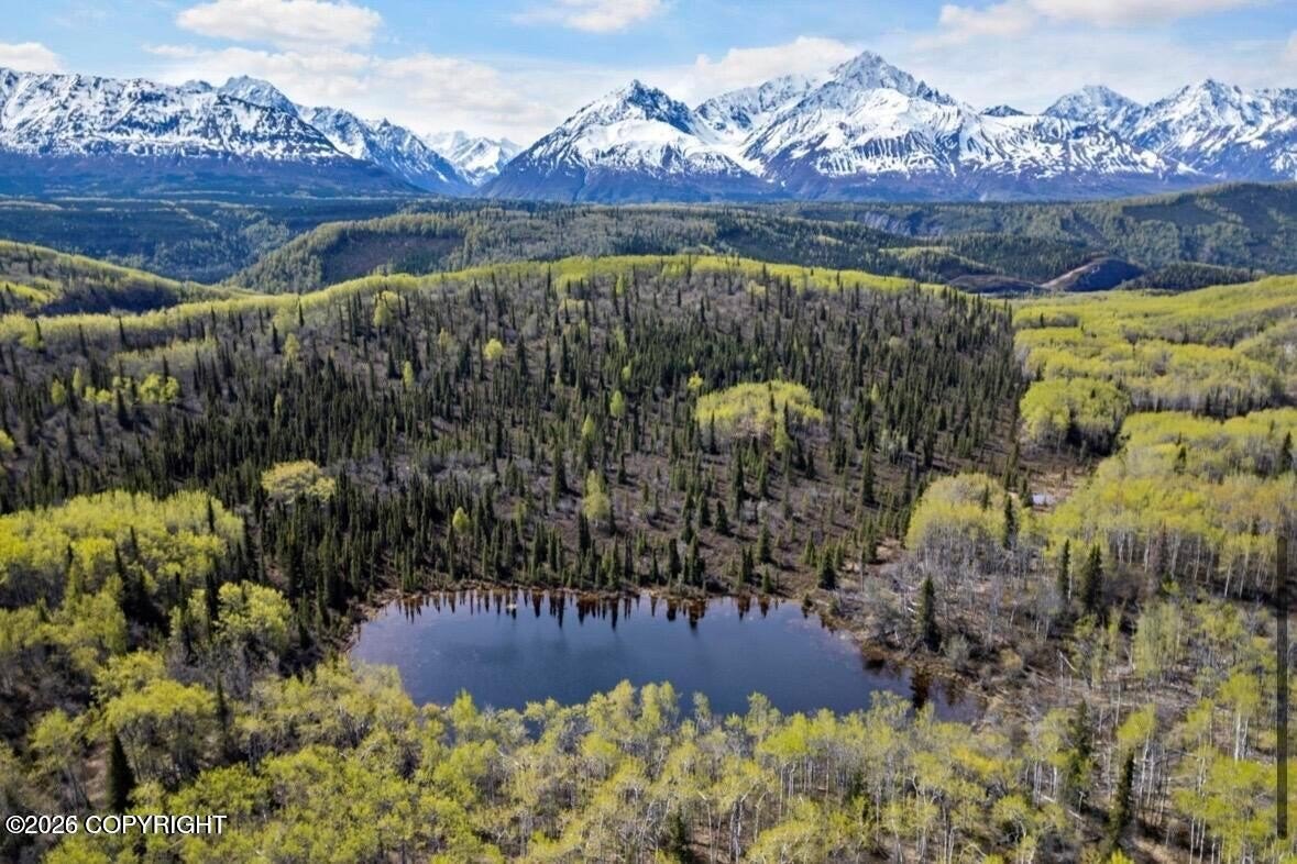 40 Acres near Matanuska Glacier