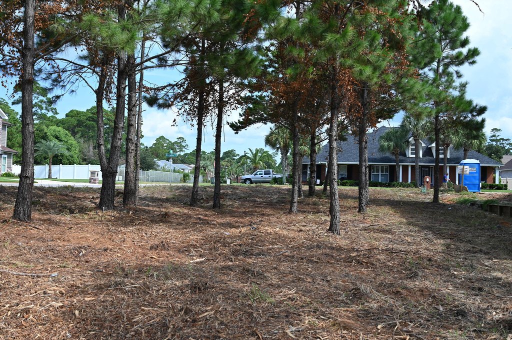 Picture 9