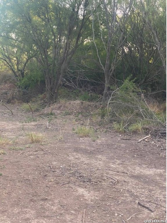 Picture 3