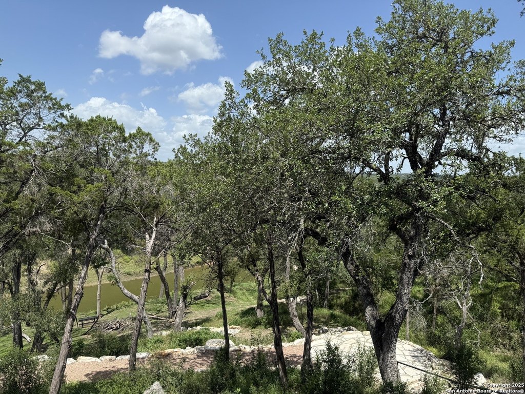 Picture 21