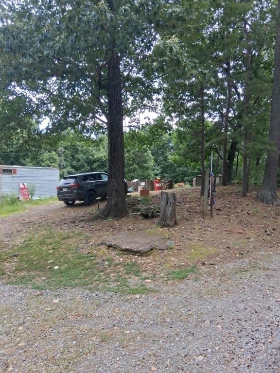 Picture 4