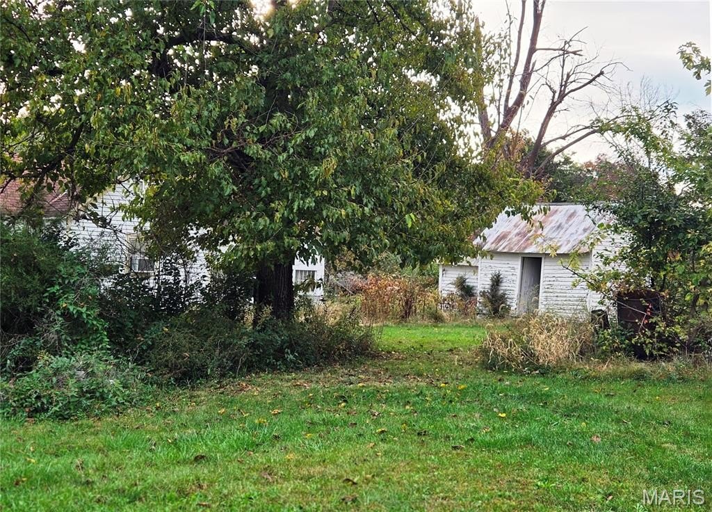 Picture 6