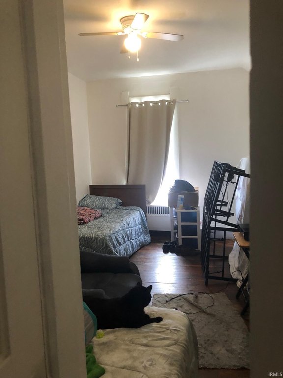 Picture 15