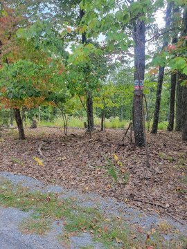 Lynchburg, VA Wooded Acreage