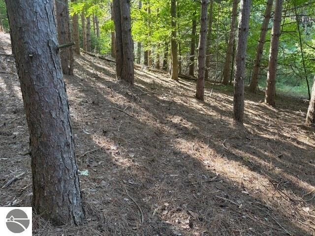 Picture 10