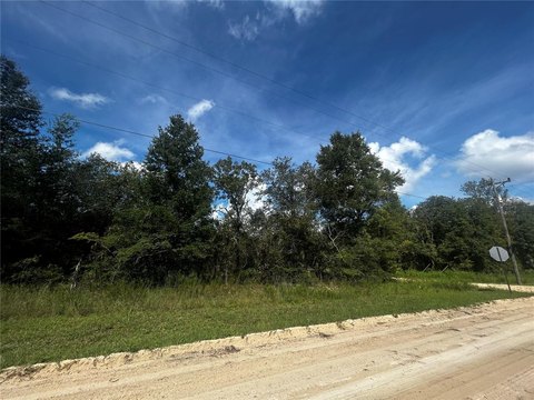 Land, WILLISTON, FL