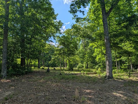 Land, Spring City, TN